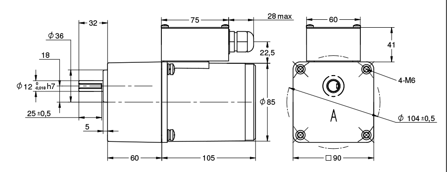 Disegno