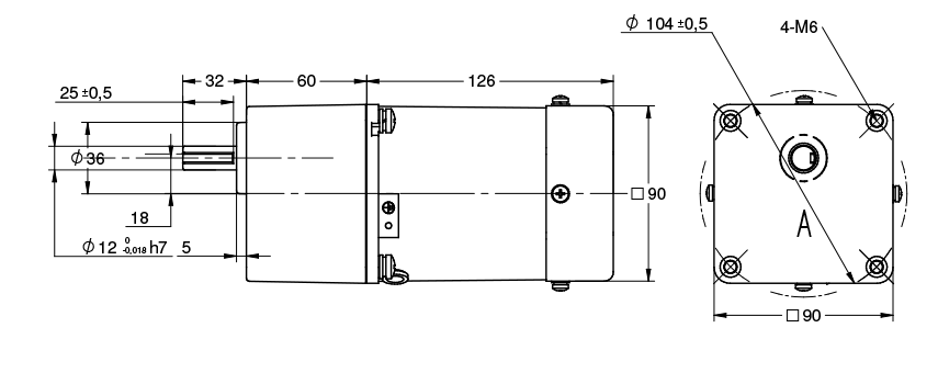 Disegno