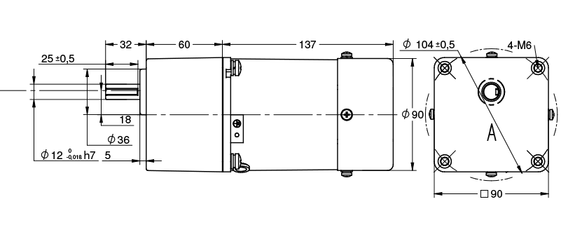 Disegno