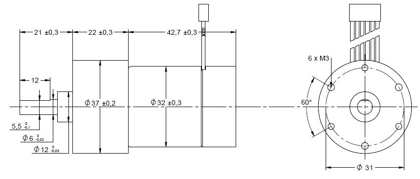 Disegno